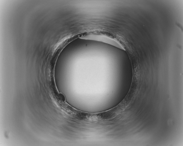 X0000099530587200805301441