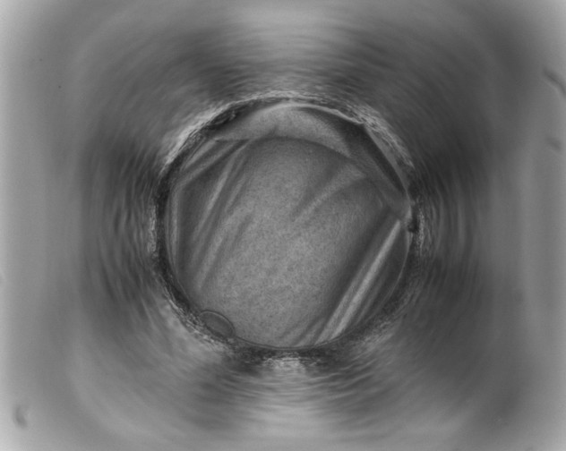 X0000099530588200805301441