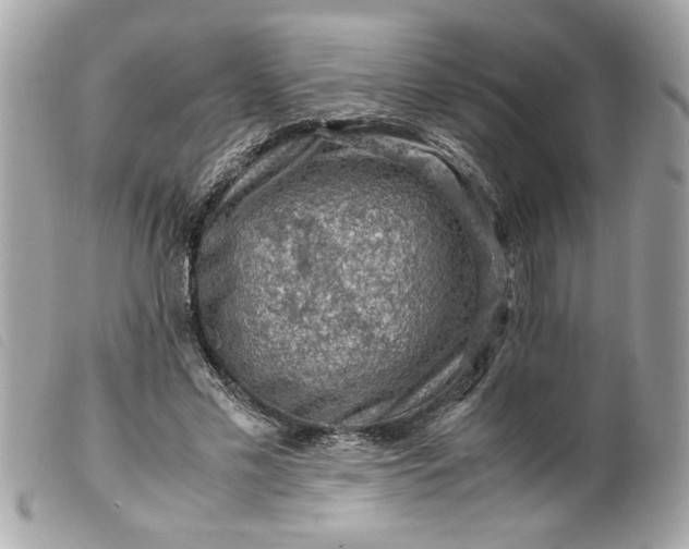 X0000099530589200805301441