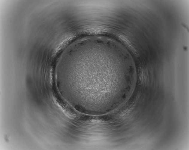 X0000099530590200805301441