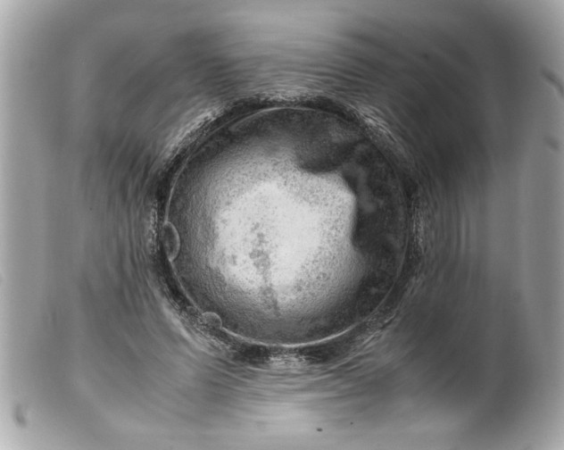 X0000099530591200805301441