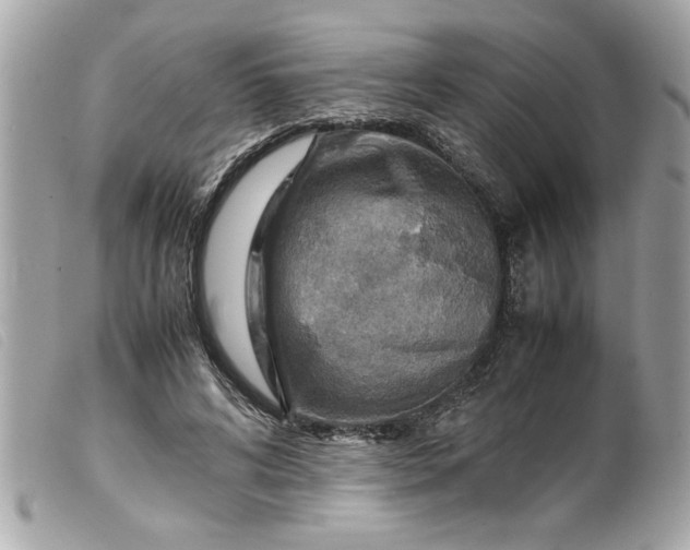 X0000099530592200805301441