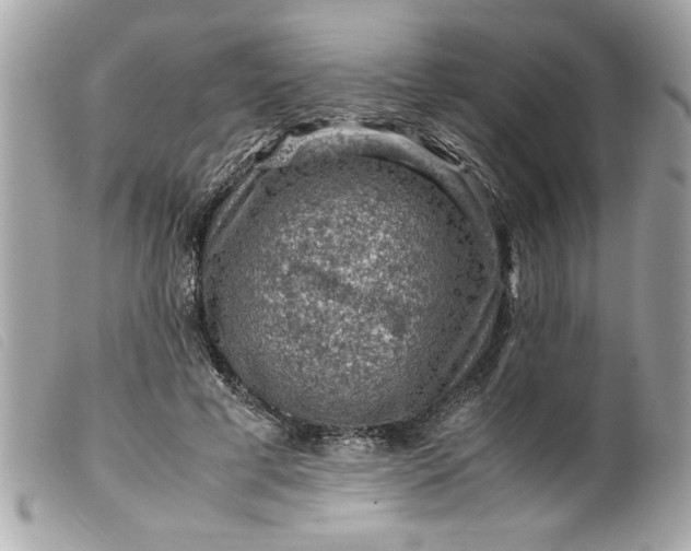 X0000099530593200805301441