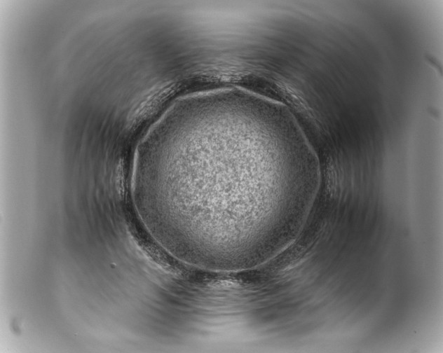 X0000099530594200805301441