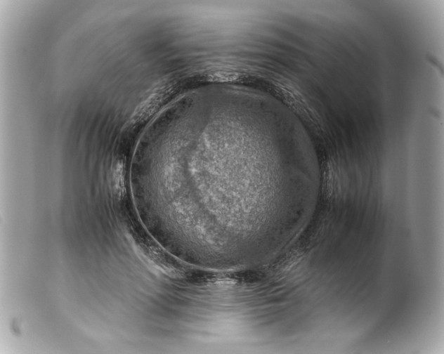 X0000099530598200805301441