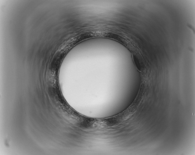 X0000099530599200805301441