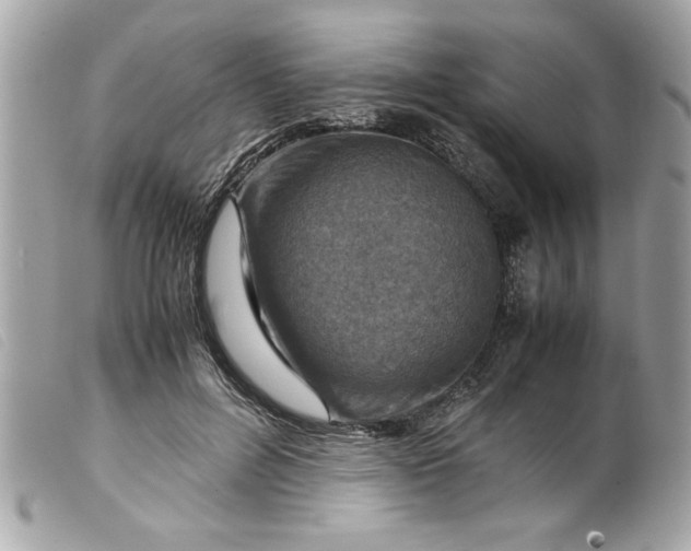 X0000099530600200805301441