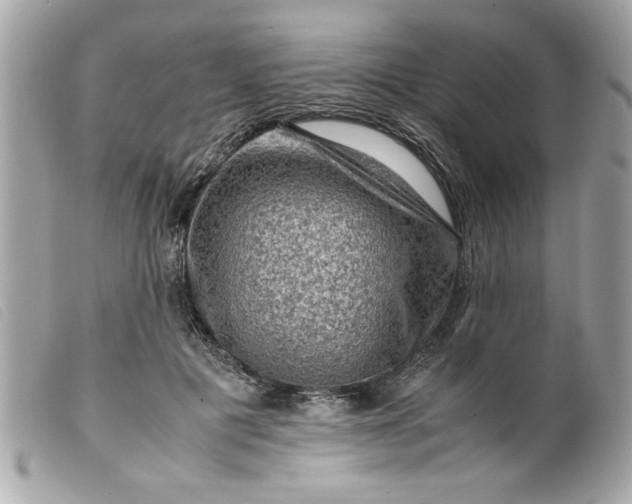 X0000099530601200805301441