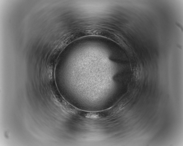 X0000099530602200805301441