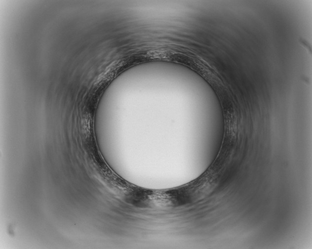 X0000099530603200805301441