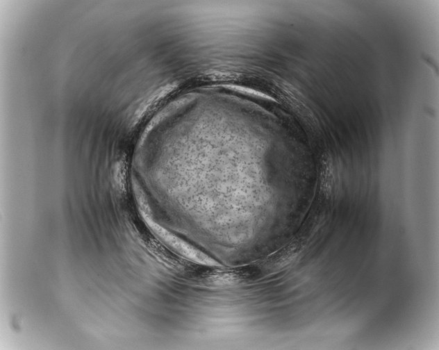 X0000099530604200805301441