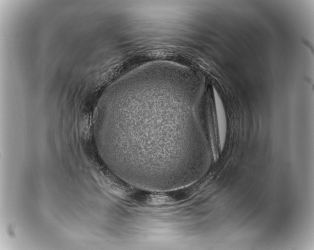 X0000099530605200805301441