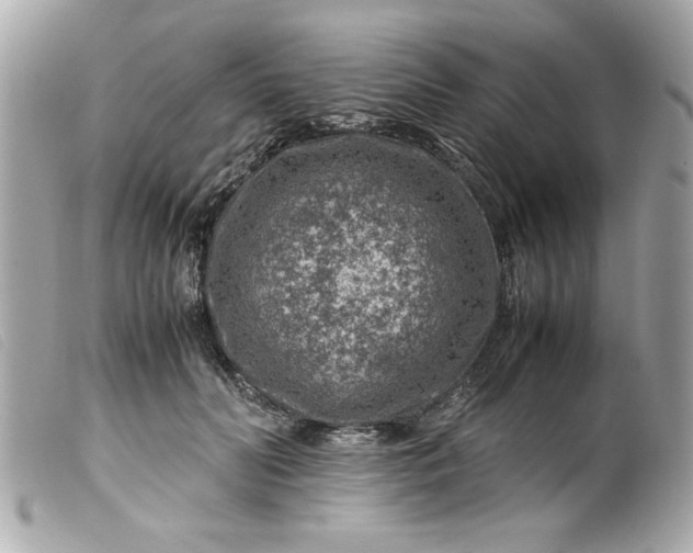 X0000099530606200805301441