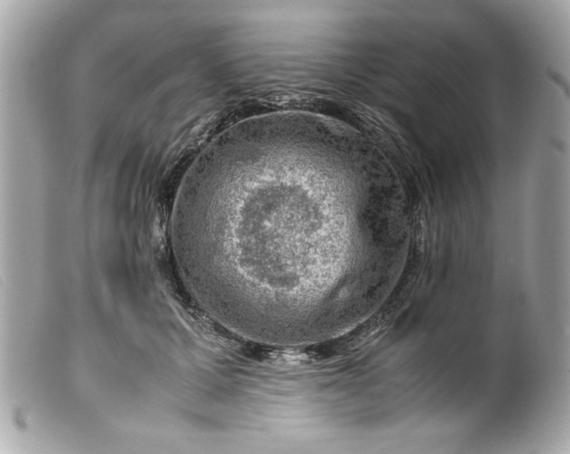 X0000099530607200805301441