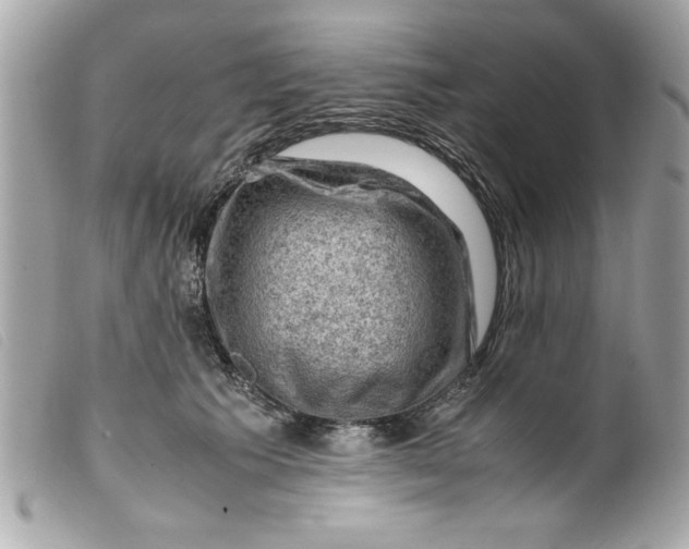 X0000099530609200805301441