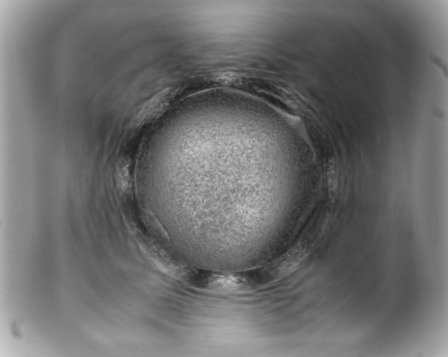 X0000099530611200805301441