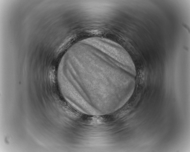 X0000099530612200805301441