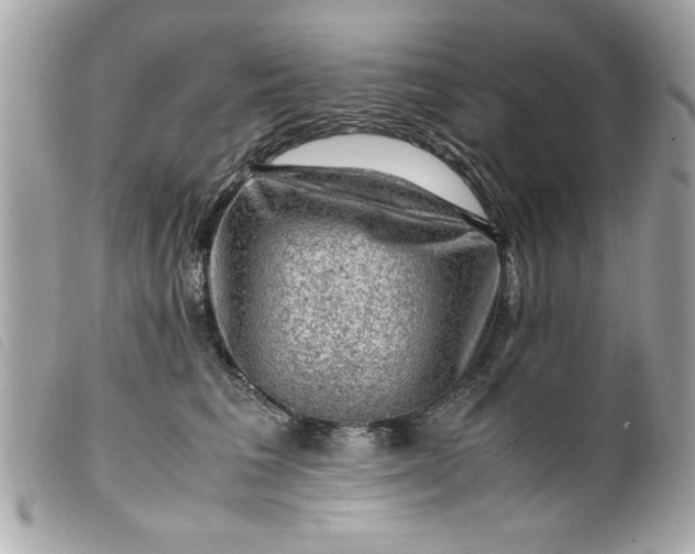 X0000099530613200805301441