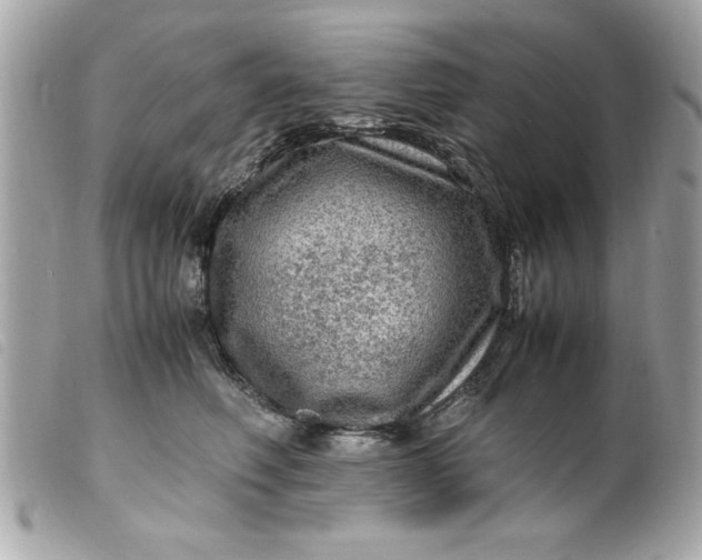 X0000099530614200805301441