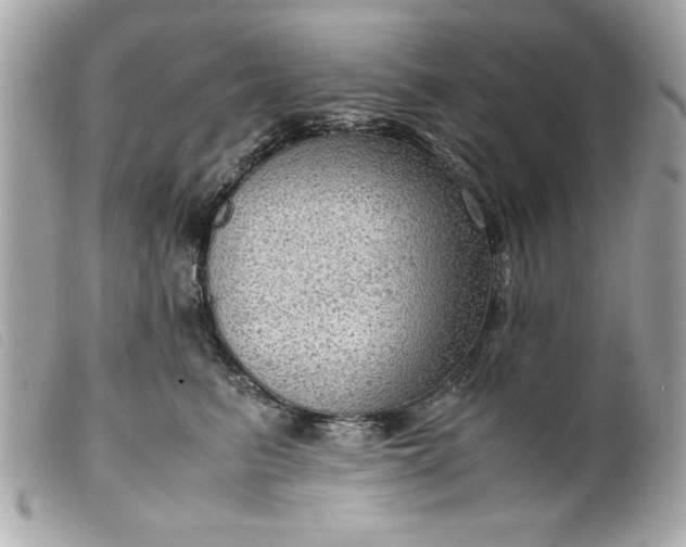 X0000099530615200805301441