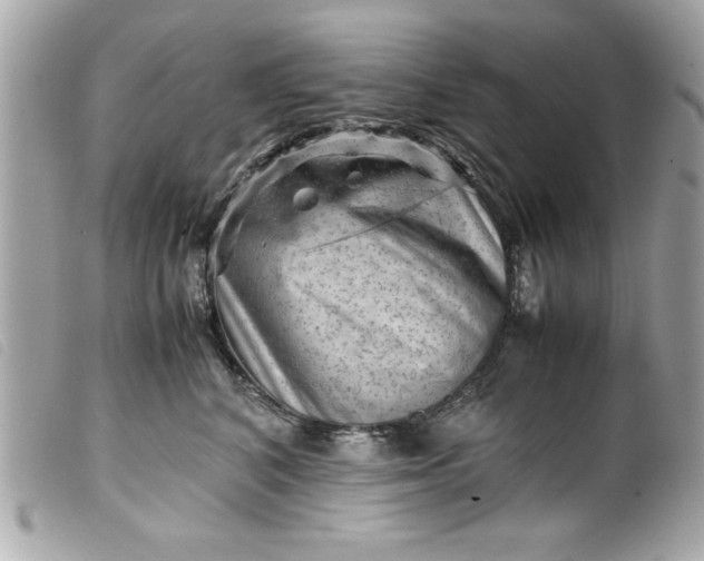 X0000099530616200805301441