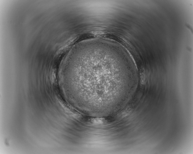 X0000099530618200805301441