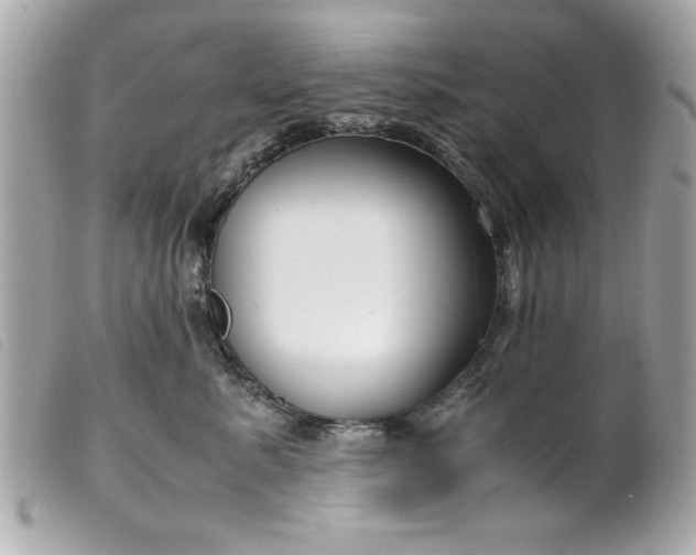 X0000099530619200805301441