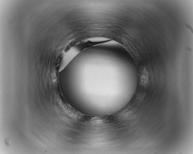 X0000099530620200805301441