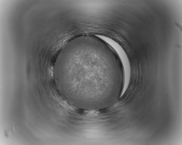 X0000099530621200805301441