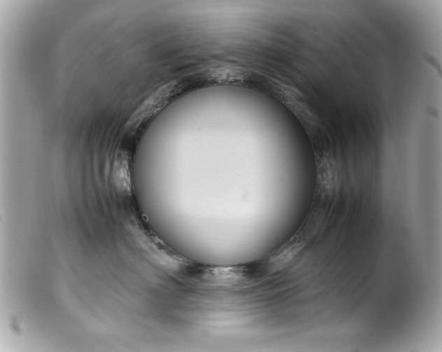 X0000099530622200805301441