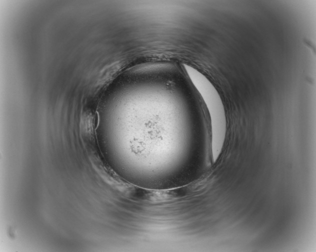 X0000099530623200805301441