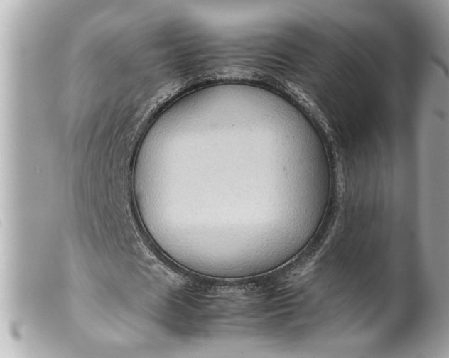 X0000099530625200805301440