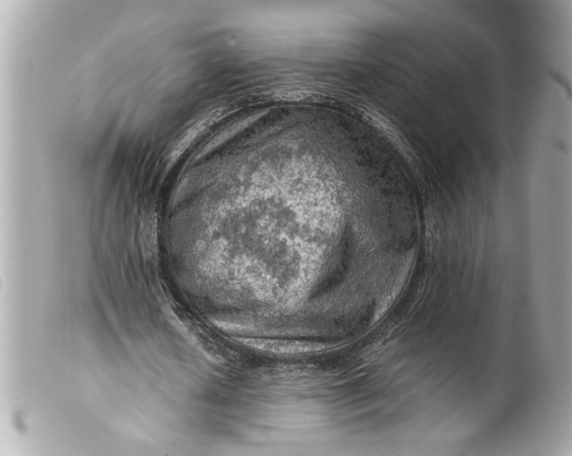 X0000099530626200805301440