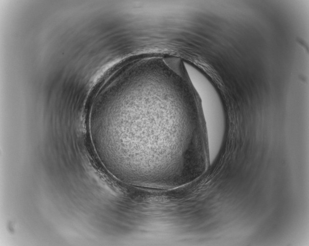 X0000099530628200805301440