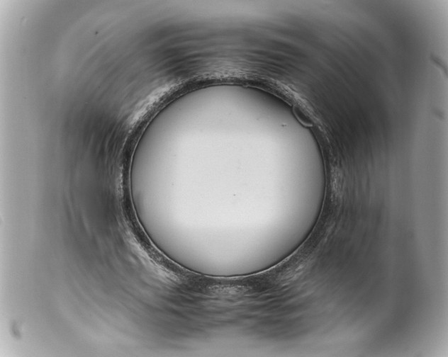 X0000099530629200805301440