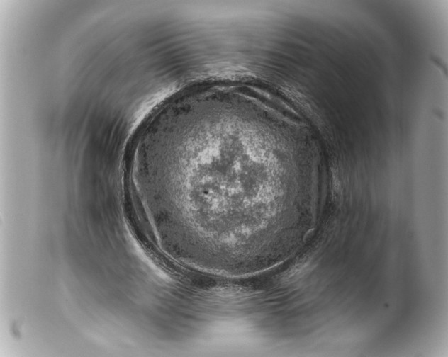 X0000099530630200805301440