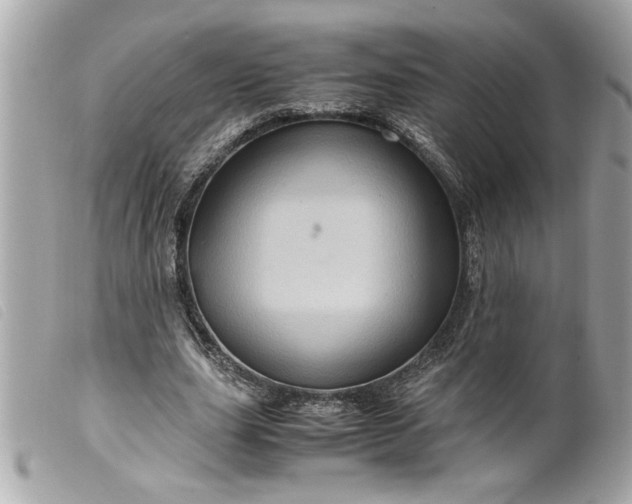 X0000099530631200805301440