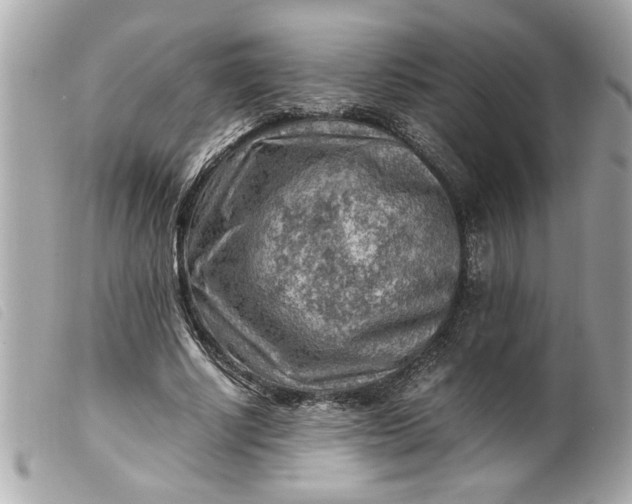 X0000099530634200805301440