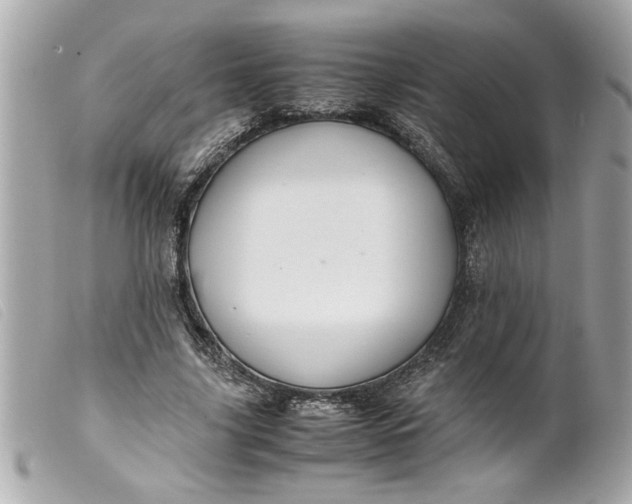 X0000099530635200805301440