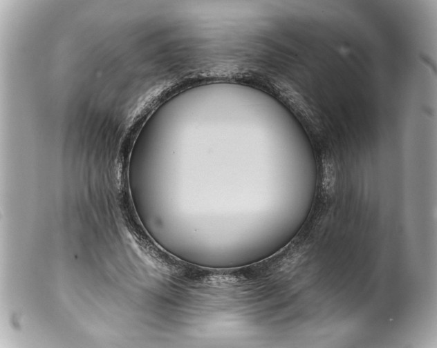 X0000099530636200805301440