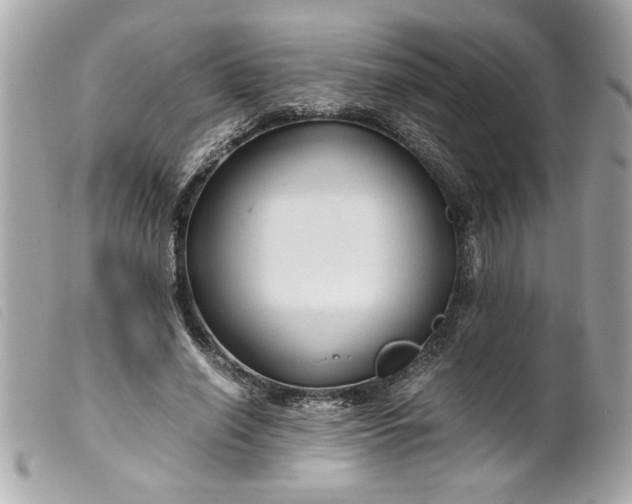 X0000099530638200805301440