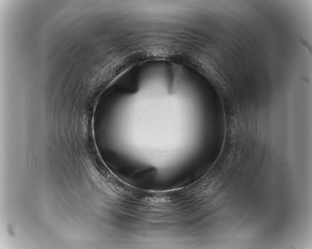 X0000099530639200805301440