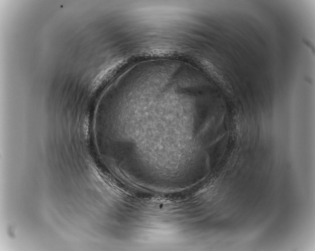 X0000099530640200805301440