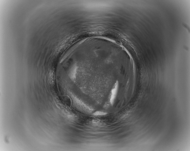 X0000099530641200805301441