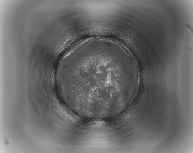 X0000099530642200805301441