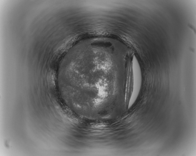 X0000099530643200805301441