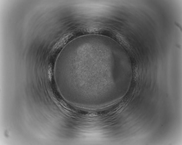 X0000099530644200805301441