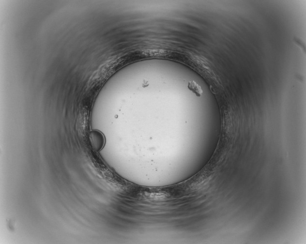 X0000099530645200805301441