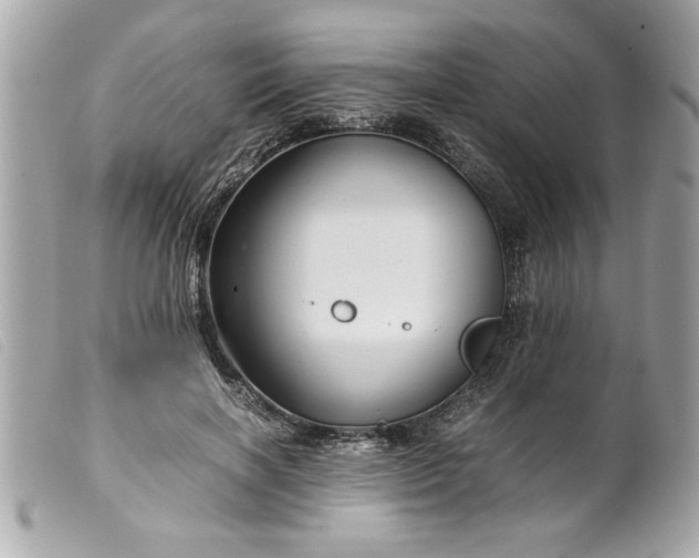 X0000099530646200805301441