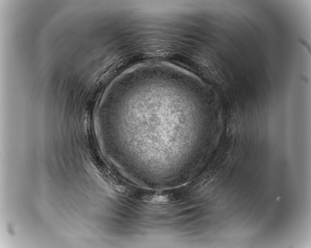 X0000099530647200805301441